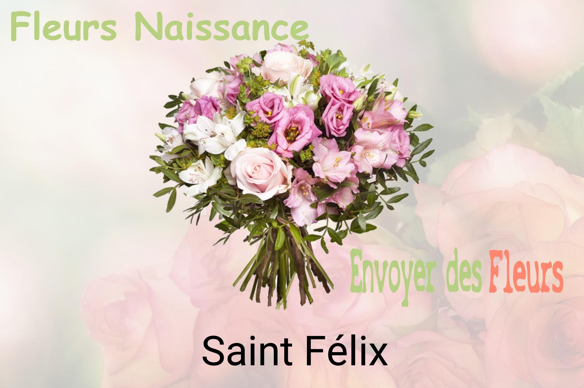 Bouquet de fleurs de naissance livré à Saint-Félix